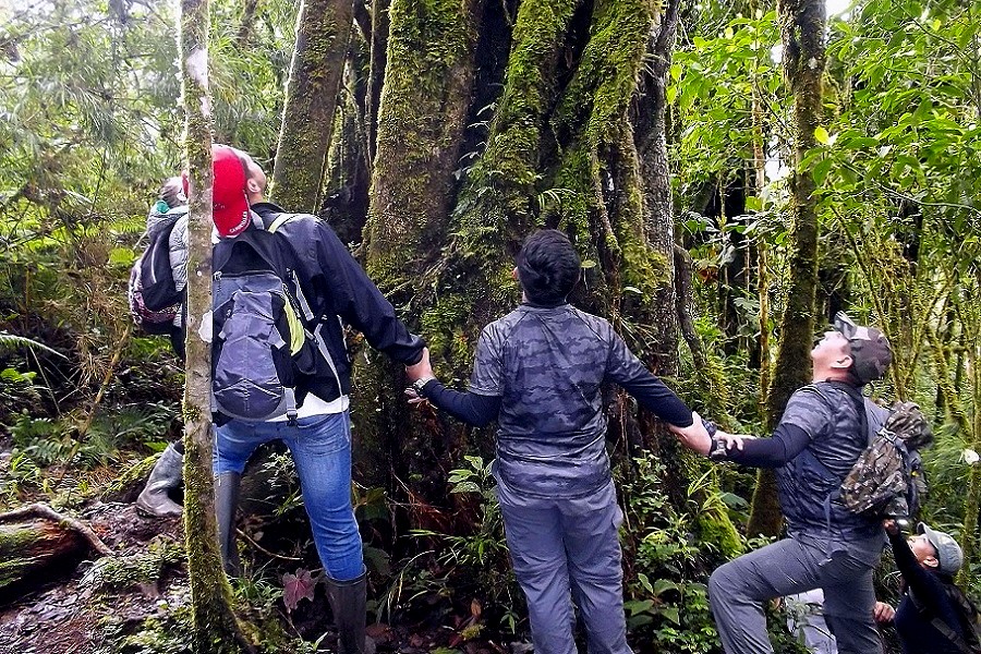 Oxapampa: promueven formalización del turismo en Parque Nacional Yanachaga Chemillén