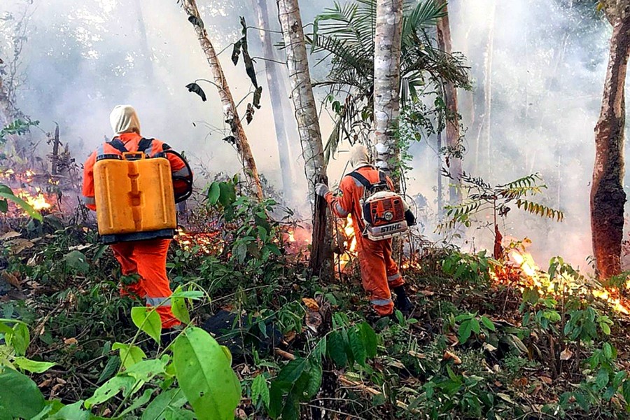 Argentina envía 200 bomberos a la Amazonía de Brasil para extinguir incendios