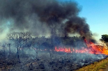 Conferencia P3 de Costa Rica recauda fondos para acabar con incendios en la Amazonia