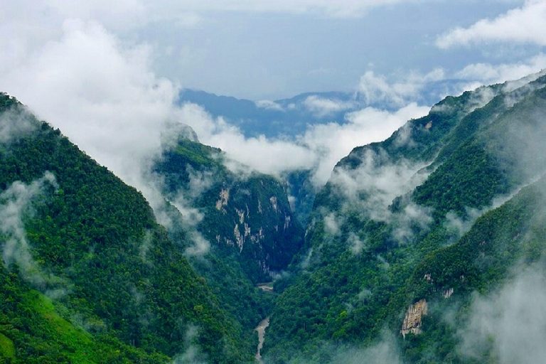 Bosque Montano de Carpish primera área de conservación regional de