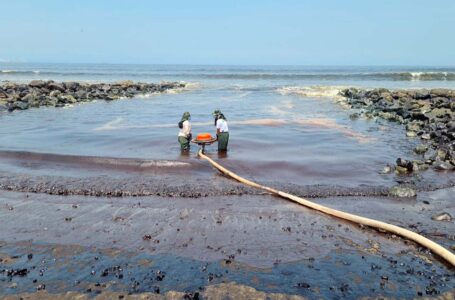 Sernanp atiende emergencia ambiental en zonas afectadas por derrame de petróleo en Ventanilla