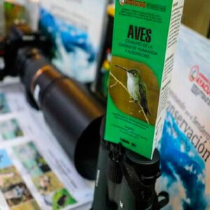Ayacucho participará en competencia de avistamiento de aves Global Big Day