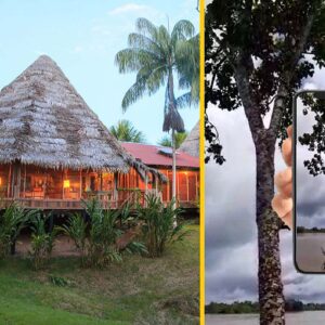 Pacaya Samiria Amazon Lodge presenta ECOTRAILS: circuitos inteligentes con realidad aumentada