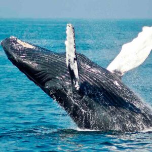 PromPerú lanza campaña “Cruza la frontera” para incentivar la llegada de turistas ecuatorianos