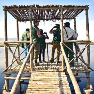 Global Big Day: Perú promocionará turismo de naturaleza en torneo mundial de observación de aves