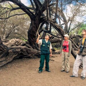 Guías de turismo esperan entrega de bono de S/ 800 a la brevedad: debería beneficiar a 12,000 guías registrados