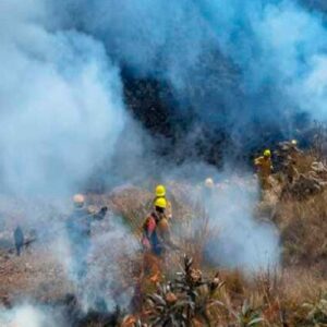 Brigada de guardaparques bomberos forestales controla incendio en Parque Nacional del Manu