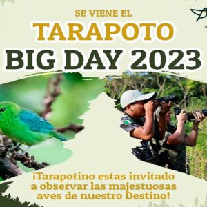 Tarapoto Big Day: promueven el turismo de observación de aves en ACR Cordillera Escalera