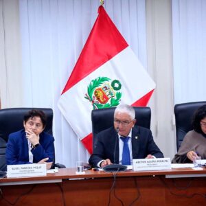 Comisión de Cultura cuestiona a ministra por robo en Museo Nacional del Perú (MUNA)