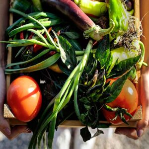 Accor implementa Inteligencia Artificial (IA) para reducir la pérdida de alimentos