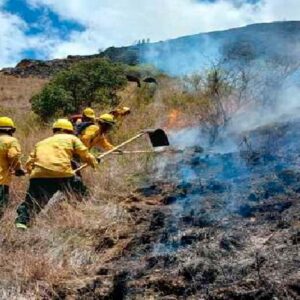 Continúan labores para sofocar incendio forestal en Machu Picchu Pueblo