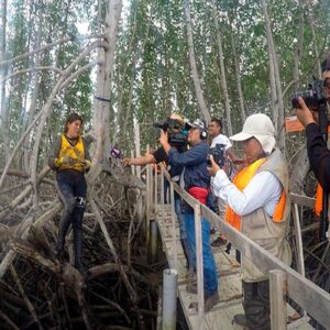 Tumbes: promueven turismo vivencial con siembra de conchas negras en Santuario Nacional Los Manglares