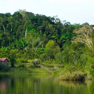 Periodistas de Puno fueron capacitados sobre conservación del Parque Nacional Bahuaja Sonene