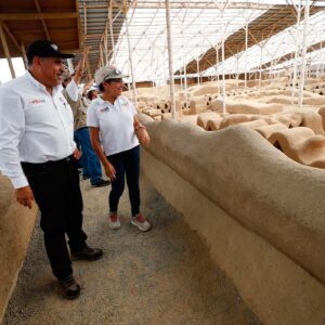 Mejorarán y ampliarán los servicios turísticos del Museo de Sitio Chan Chan