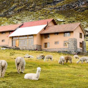 Andean Lodges se une a Tropic Collection para promover el turismo sostenible en Perú