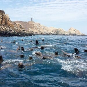 Cinco áreas naturales protegidas del Perú que puedes visitar en Semana Santa