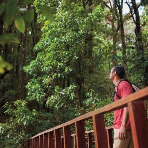 América Latina: 2024 será el año de la recuperación turística sostenible