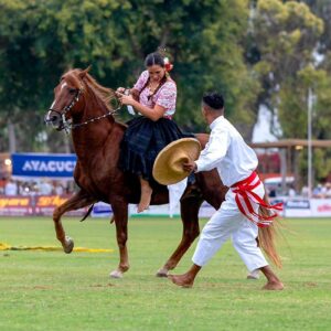 Inició el Concurso Nacional del Caballo Peruano de Paso en Mamacona