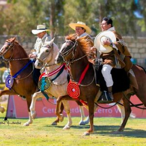 Concurso Nacional del Caballo Peruano de Paso se realizará del 14 al 21 de abril en Mamacona