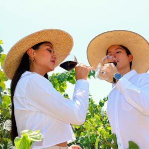 Moquegua celebra Festival de la Vendimia 2024 con diversas actividades sociales y culturales