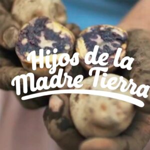 Minam presenta video para reflexionar sobre la importancia de conservar nuestros recursos naturales