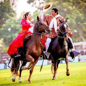 Organizan la Gran Noche del Caballo Peruano de Paso este 22 de junio en Lima