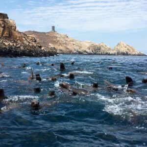Áreas naturales protegidas recibirán más de 150,000 visitantes en Fiestas Patrias