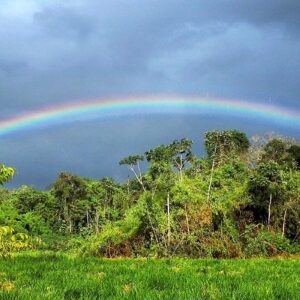 Perú reduce en 15% emisiones de CO2 por uso del gas natural de Camisea