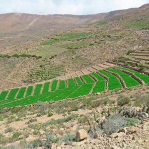 Turismo y gastronomía se beneficiarán con recuperación de 120,000 hectáreas de andenes