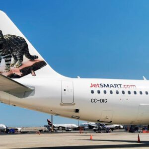 Día Internacional del Gato: JetSmart lanza campaña para viajar con tu gato por un dólar