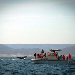 Reserva Nacional Mar Tropical de Grau se luce en uno de los medios más importantes de Estados Unidos