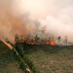 Amazonas: coordinan acciones para sofocar incendio forestal y proteger el patrimonio arqueológico