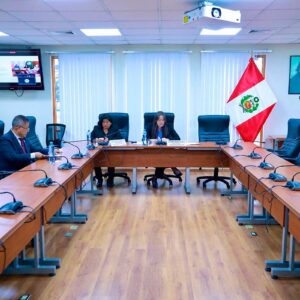 Comisión de Comercio Exterior y Turismo del Congreso aprueba su Plan de Trabajo 2024-2025