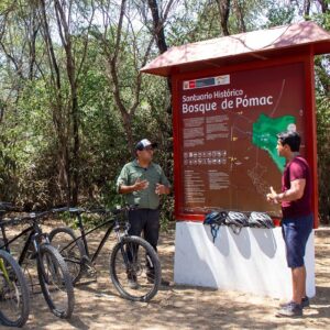 Ecoservperu lanza nuevas experiencias Vivenciales y Sostenibles en el Santuario Bosque de Pómac