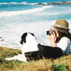 ¿Qué debes hacer para viajar seguro con tu mascota?