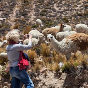 Cultura y paisajes de Perú deslumbran al medio más grande de Países Bajos