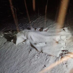 Cusco: turista argentina muere al ser alcanzada por rayo cuando visitaba nevado en Canchis