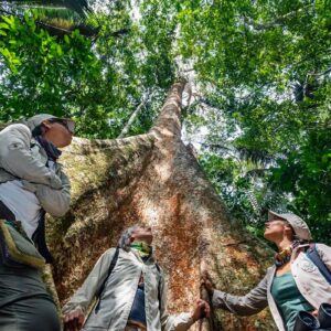 Perú será sede de Congreso Forestal Mundial en 2027