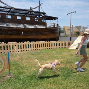 Aranwa Hotels presenta primer circuito de agility canino en Perú