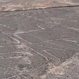 Ministerio de Cultura descarta afectaciones considerables a Líneas de Nasca por lluvias y huaico
