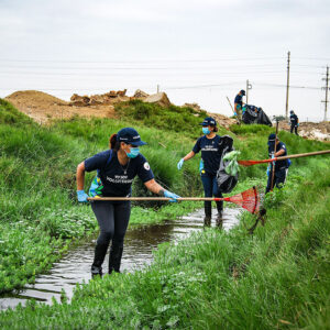 Convocan a voluntarios para jornada de limpieza del Humedal Pantanos de Villa