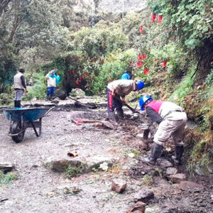 Expertos evalúan condiciones del Camino Inca a Machu Picchu para decidir reapertura