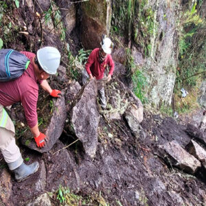 Disponen cierre temporal de acceso a la Montaña Machu Picchu por derrumbe de rocas y árboles