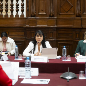 Proyecto de ley busca reforzar la seguridad de turistas y optimizar inversiones en infraestructura turística