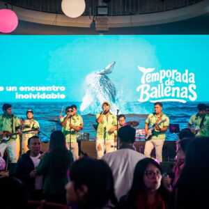 PromPerú lanza campaña de promoción de Avistamiento de Ballenas 2025