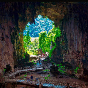 Cuatro Áreas Naturales Protegidas del Perú entre las “Top 100 Green Destinations Stories 2025”