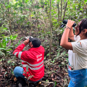 San Martín se corona como destino líder del October Big Day 2025