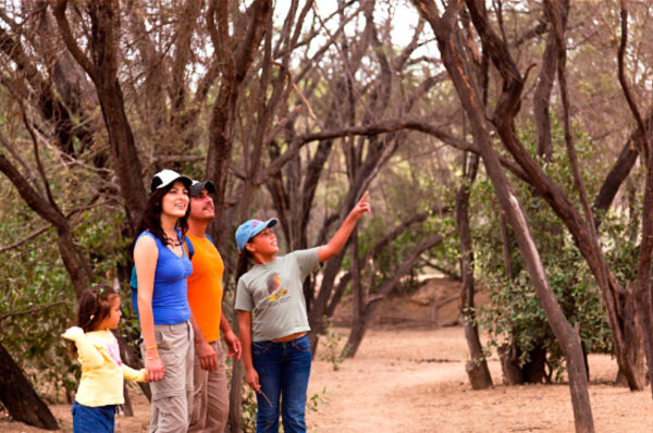 PromPerú: experiencias y viajes con propósito marcan tendencia en los viajes familiares