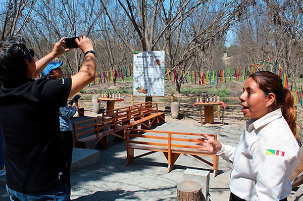 Rutas del Pisco promoverán el turismo en regiones productoras de nuestra bebida bandera