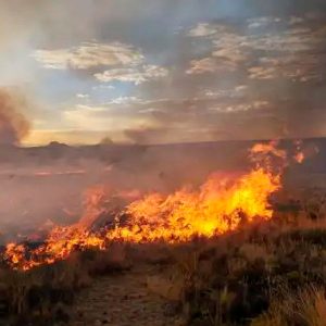 Mincetur monitorea incendios forestales en Puno y brinda información a turistas